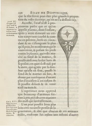 Homunculus depicted inside human sperm, from Essay de Dioptrique by Niklass Hartsoeker